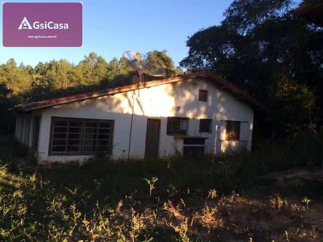 #243 - Chácara para Venda em Porto Feliz - SP - 1