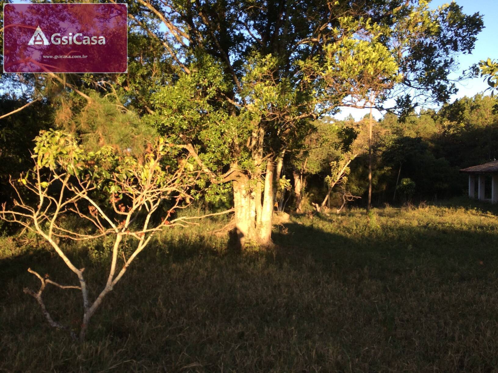 Sítio, 3 quartos, 3 hectares - Foto 25