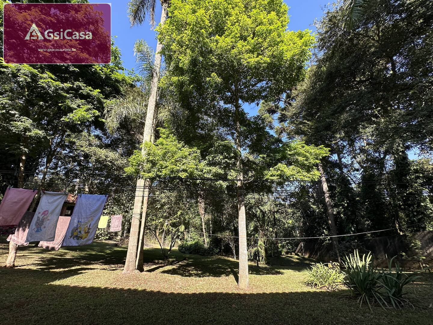 Chácara, 3 quartos, 10000 m² - Foto 2