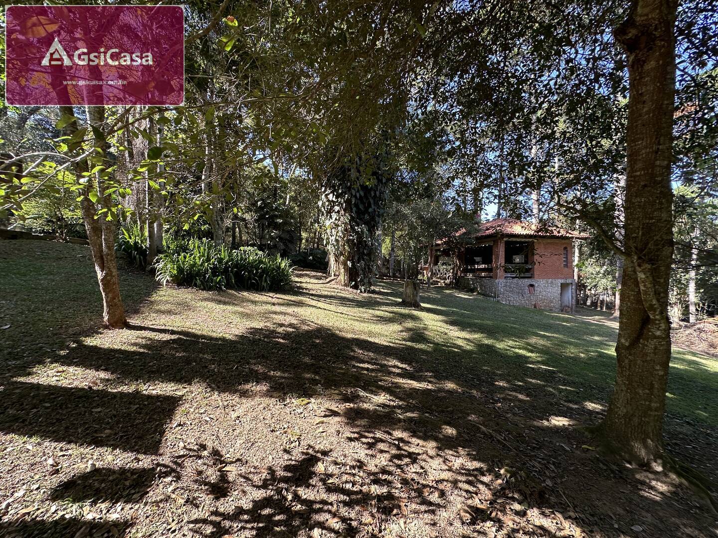 Chácara, 3 quartos, 10000 m² - Foto 5