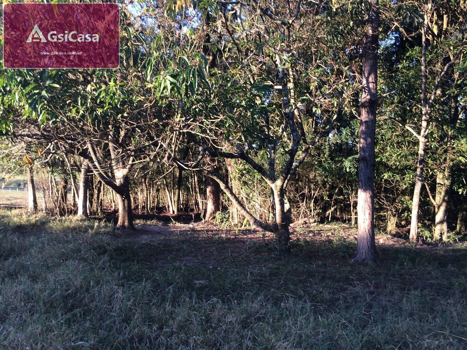 Chácara à venda com 3 quartos, 24200m² - Foto 53