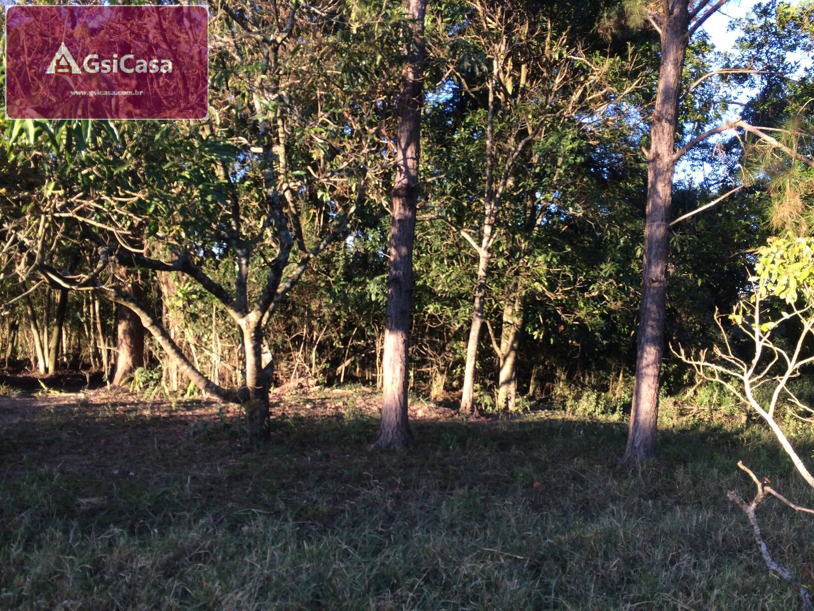 Chácara à venda com 3 quartos, 24200m² - Foto 51